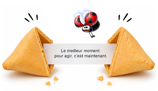 Cookie
